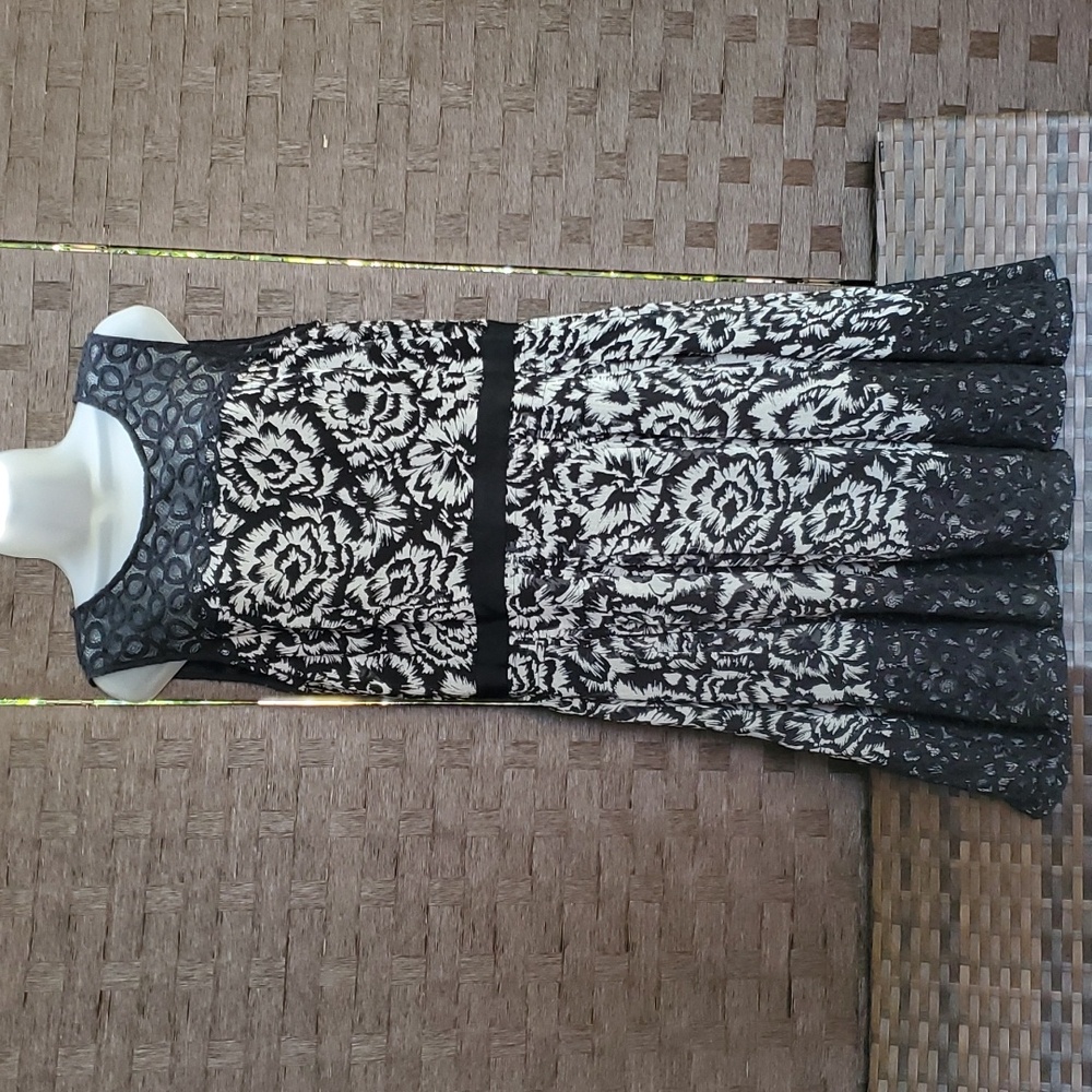 Ann Taylor Black and White Floral Sheer Lace Yoke Fit and Flare Sleeveless Dress